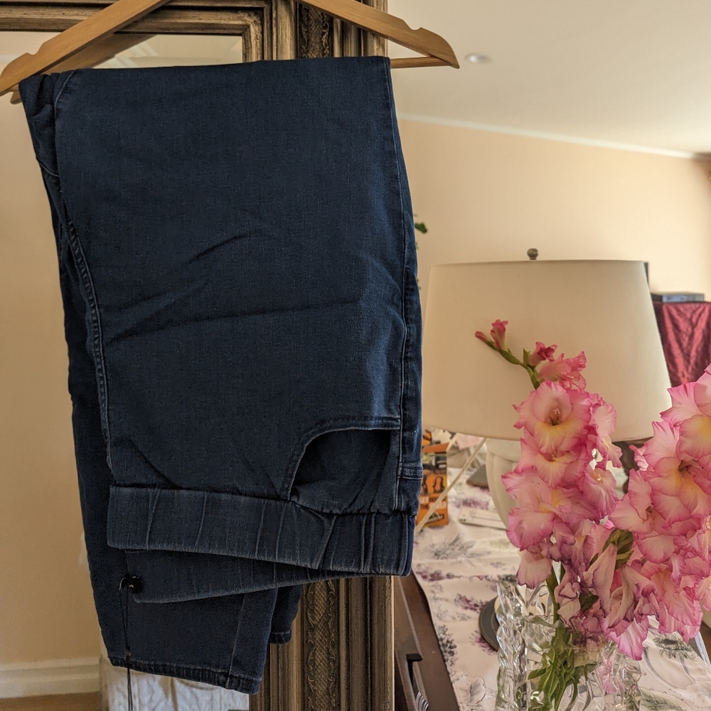 Universal Standard Comfort Denim Don't Call Them Jeggings